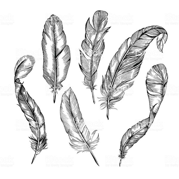 Перо карандашом