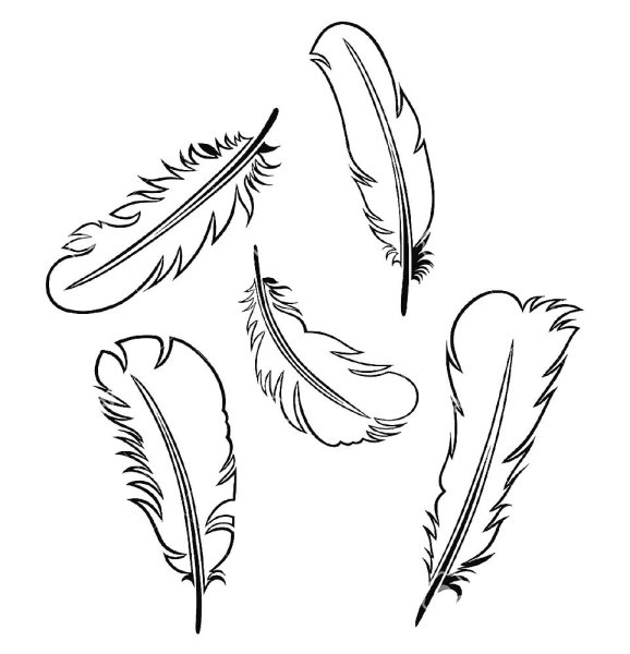 Перья для вырезания