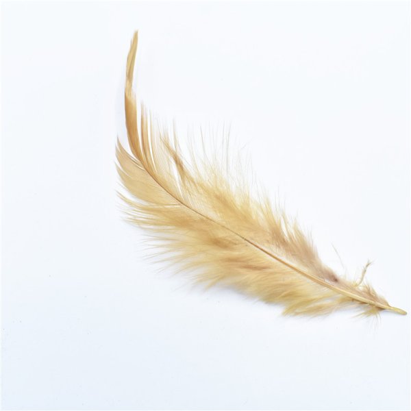 Пунцовые перья