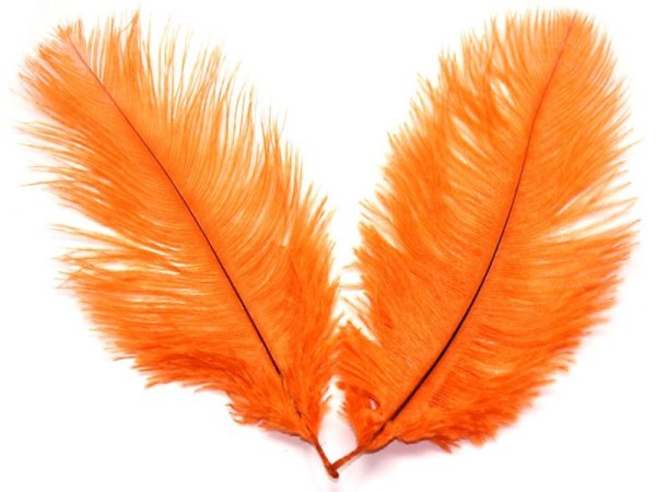 Перо для детей