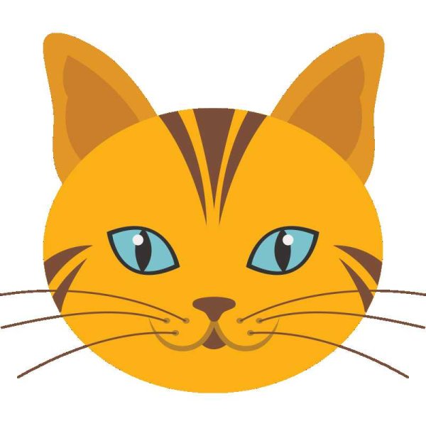 Мордочка кота для детей