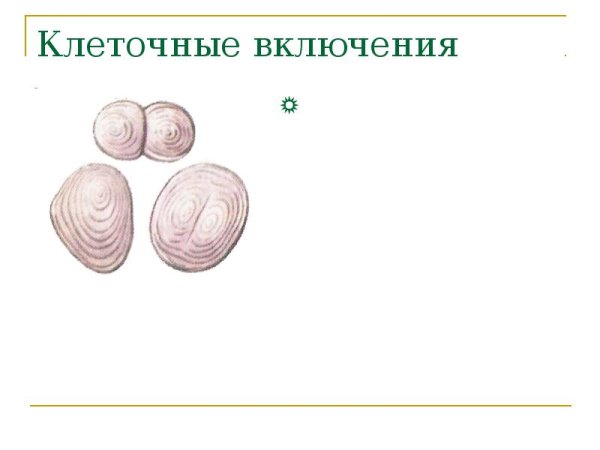 Клеточные включения