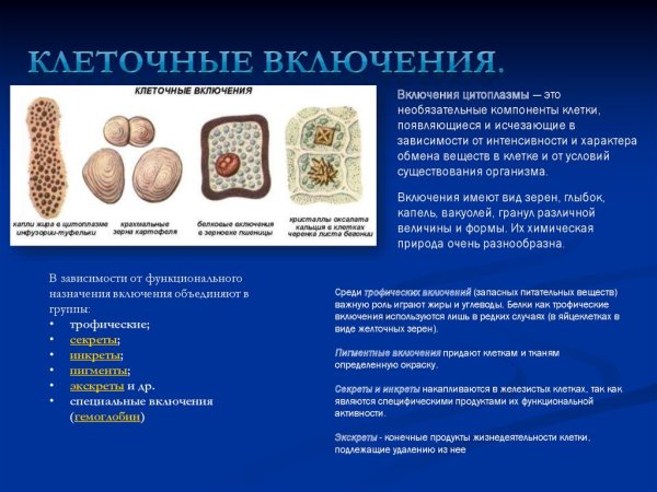 Включения растительной клетки таблица