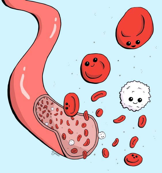 Эритроцит мультяшный