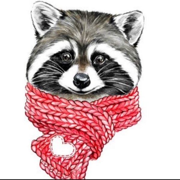 Милые рисунки для срисовки Енотик