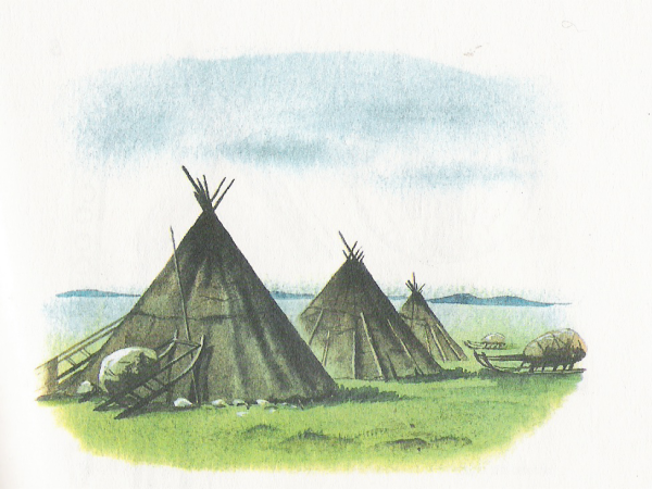 Нганасаны жилище