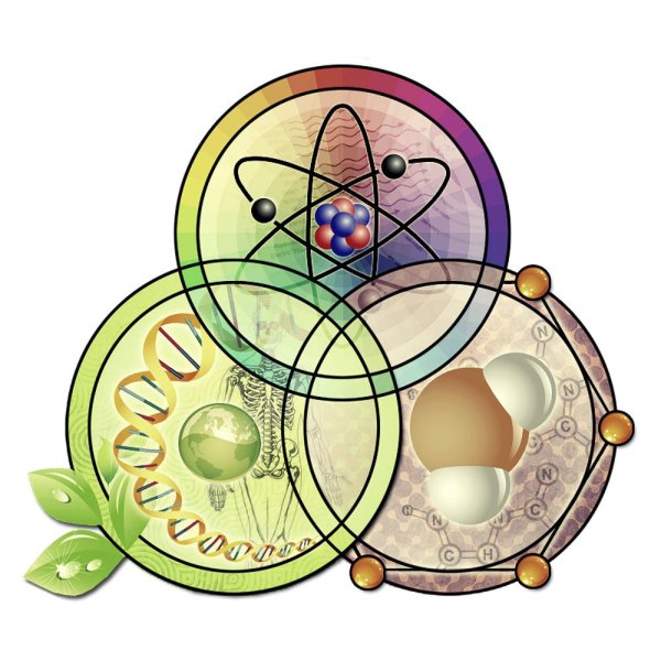 Физика химия биология