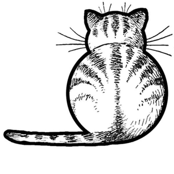 Котик сзади рисунок