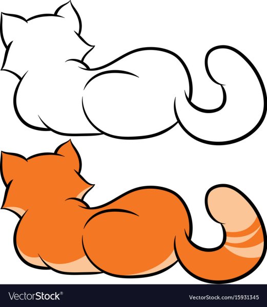 Нарисовать кота со спины