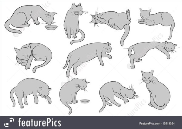 Лежачие позы котов