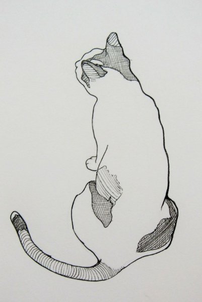 Линейные Наброски животных