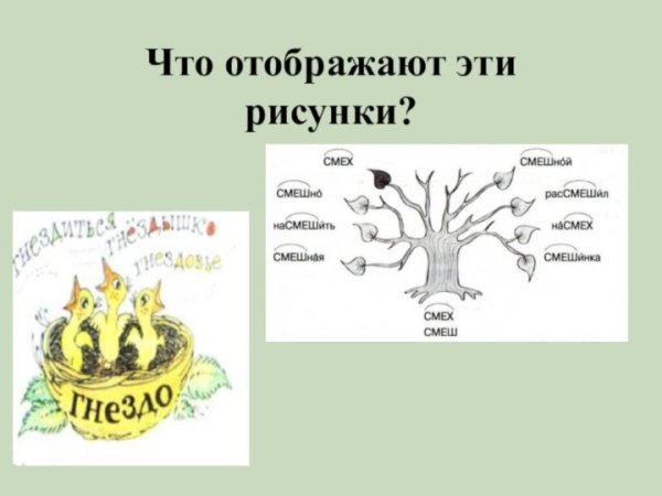 Словообразовательное гнездо и цепочка