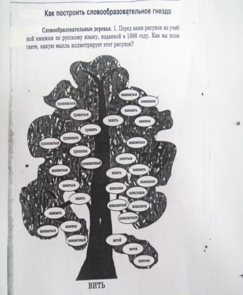 Однокоренные слова 3 класс