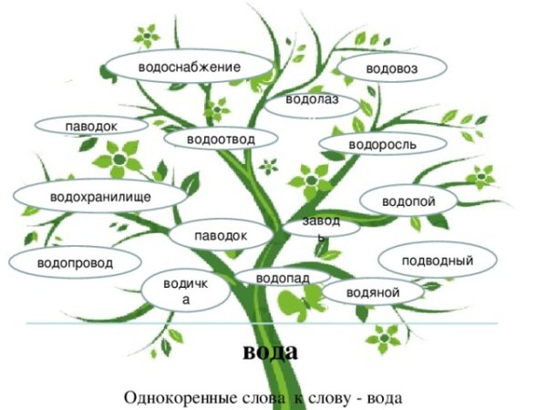 Словообразовательное гнездо вода
