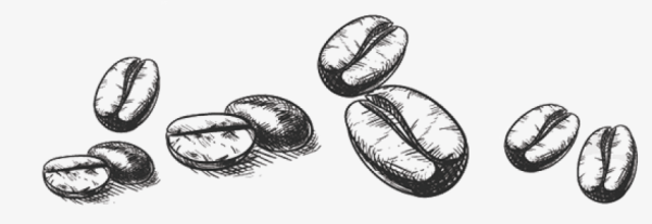 Кофейные зерна