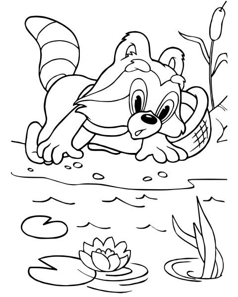 Крошка енот раскраска для детей