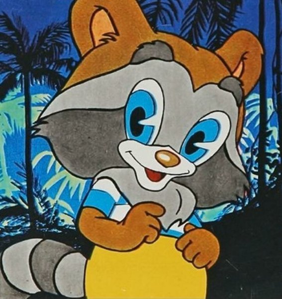 Крошка енот