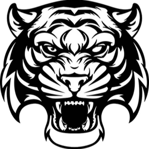 Оскал тигра