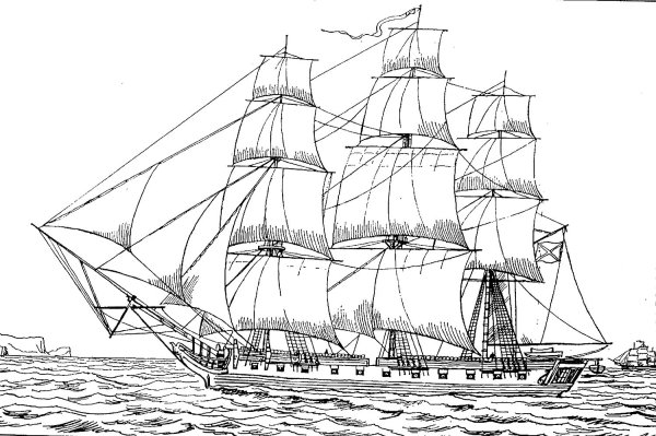 Кора раскраска