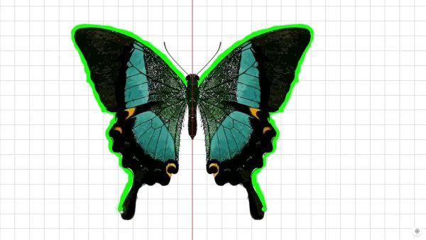 Зеркальная симметрия бабочка