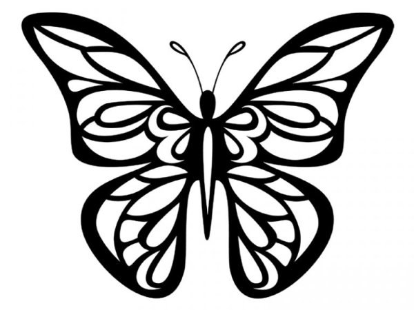 Черно белая симметричная бабочка