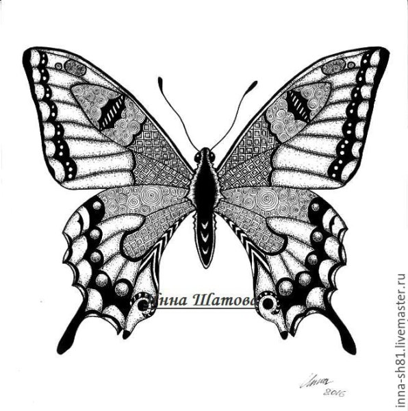 Бабочка тушью