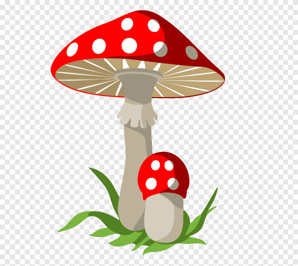 Грибы (мухомор, поганка)- для дошкольников