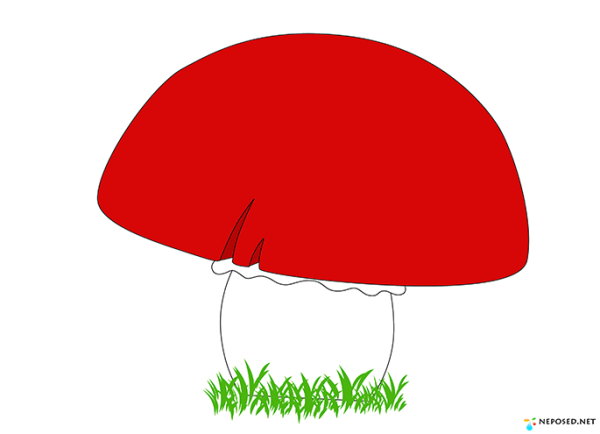 Мухомор красный без белых пятен