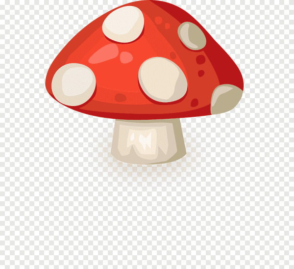 Гриб мухомор вектор