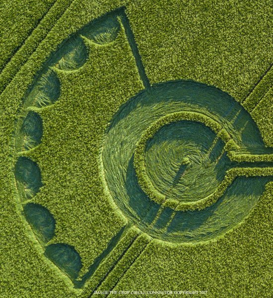 Узоры инопланетные на полях