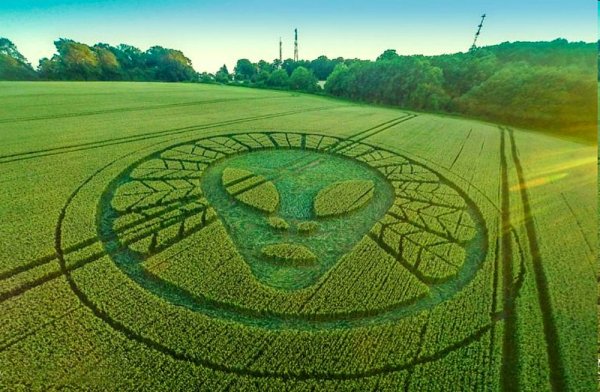 Круги на полях НЛО