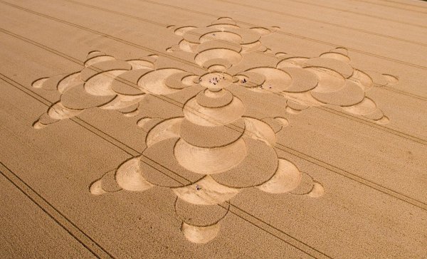 Поле рисунок