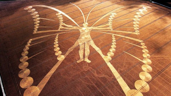 Квадратура круга Леонардо