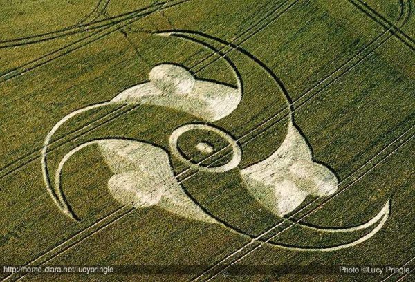 Рафаэль Файзирахманов круги на полях