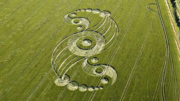 Круги на сельхоз полях