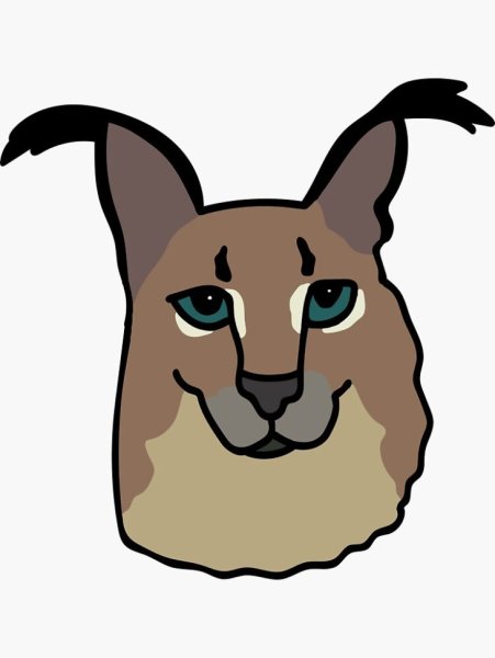 Мордочка шлёпы