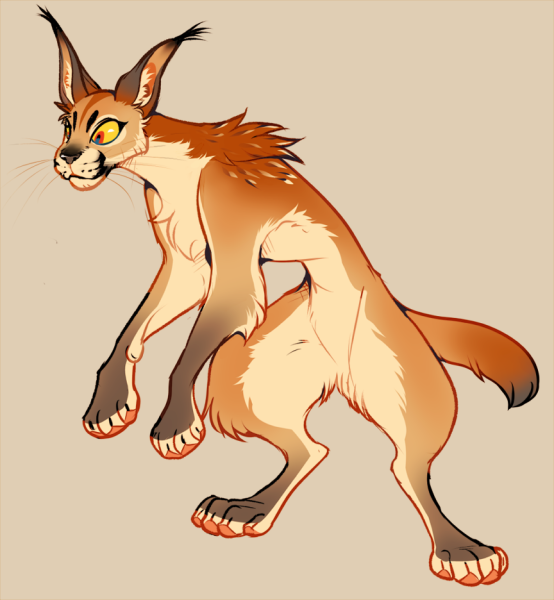 Антро каракал