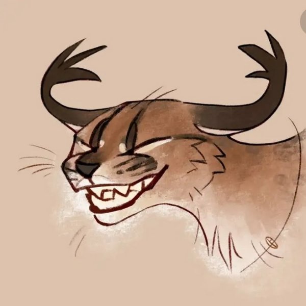 Каракал арт