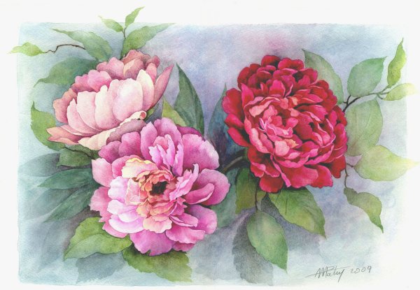 Anne Marie Patry-Belluteau акварели