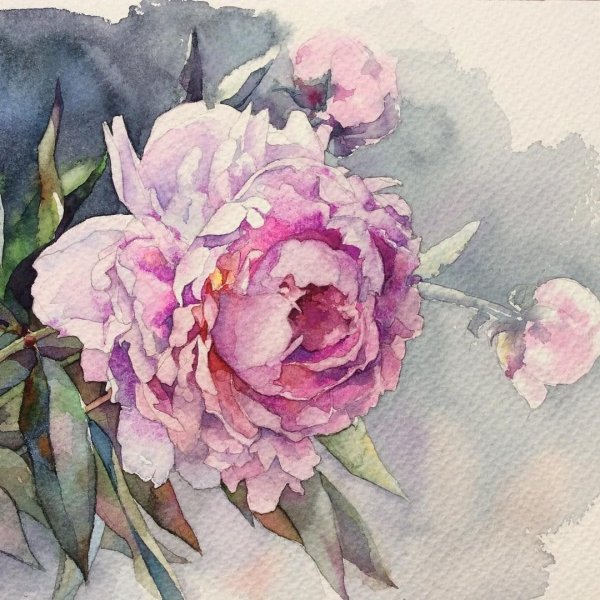 Елена Дюшан пионы акварель