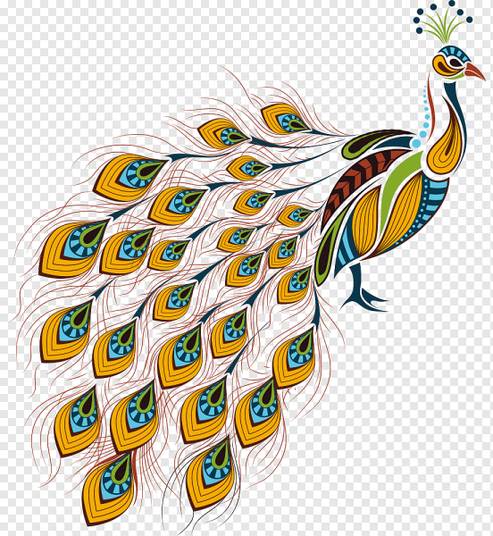 Павлин вектор