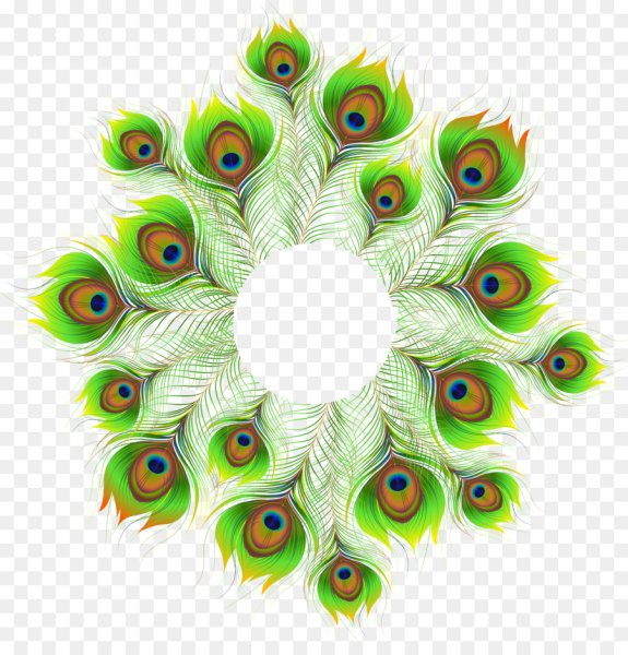 Перо павлина