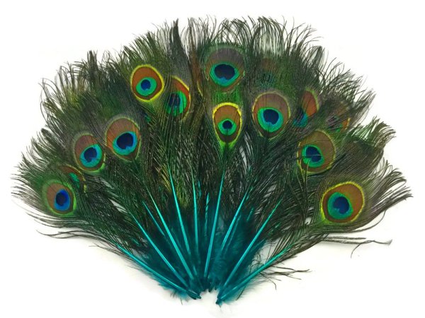 Перо павлина