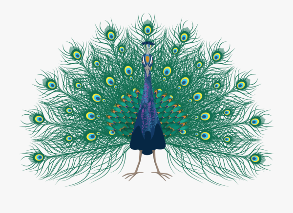 Хвост павлина символ