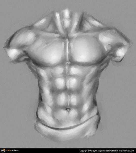 Мужской торс карандашом