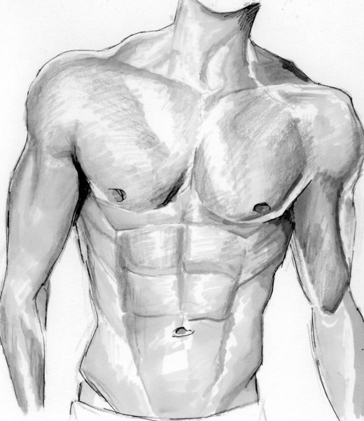 Мужское тело для рисования