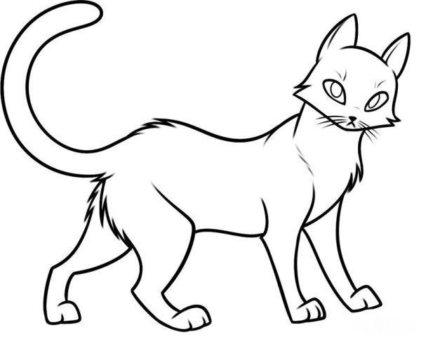 Кошки. Раскраска