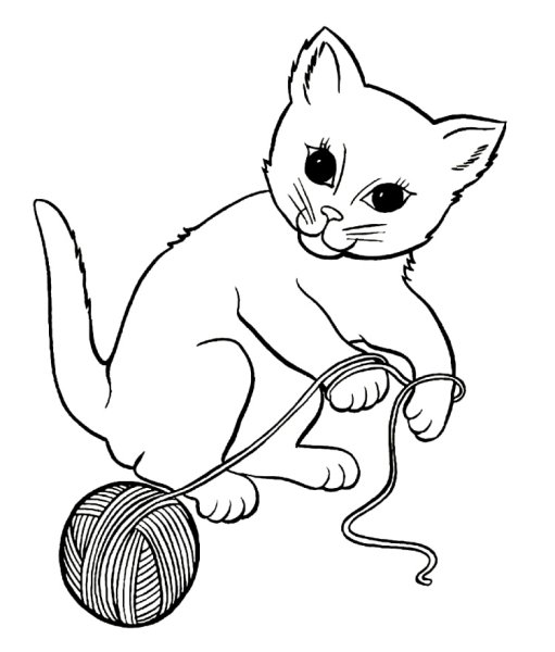 Раскраска кот