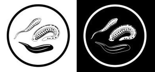 Пиявка логотип