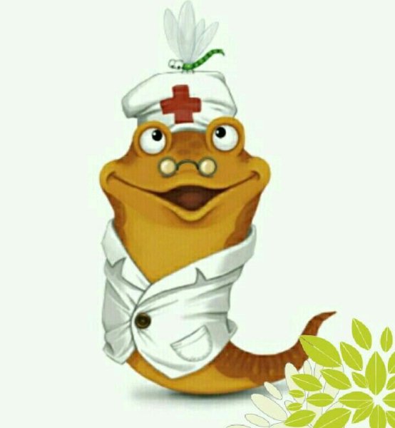 Пиявки смешные